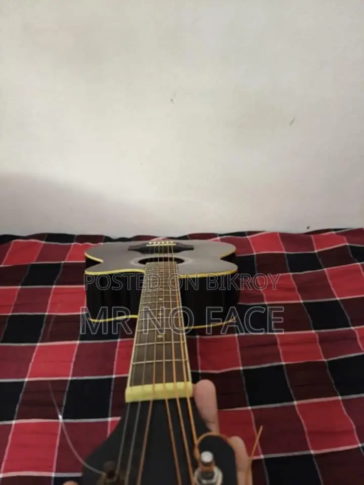 Guitar