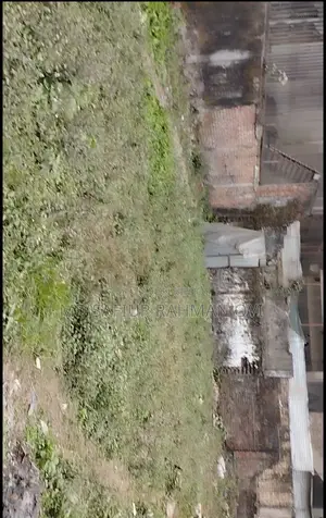 জমিটি হল একটি সুন্দর কমার্শিয়াল প্লট
