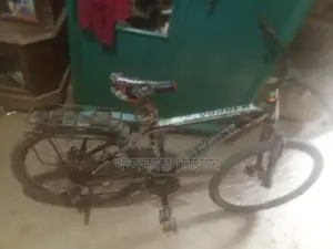 Bicycle with Gears