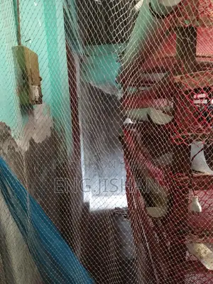 Running Egg-Laying Quail Birds (With or Without Cage)