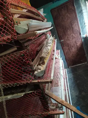 Running Egg-Laying Quail Birds (With or Without Cage)