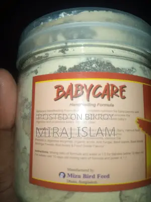 Bird Feed