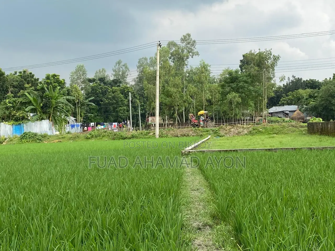 সাশ্রয়ী মূল্যে রংপুরে ধাপ মৌজার জমি বিক্রয়