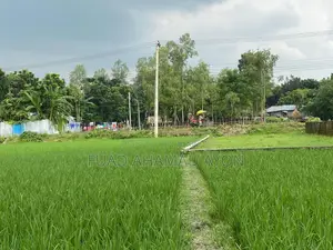 সাশ্রয়ী মূল্যে রংপুরে ধাপ মৌজার জমি বিক্রয়