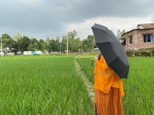 সাশ্রয়ী মূল্যে রংপুরে ধাপ মৌজার জমি বিক্রয়