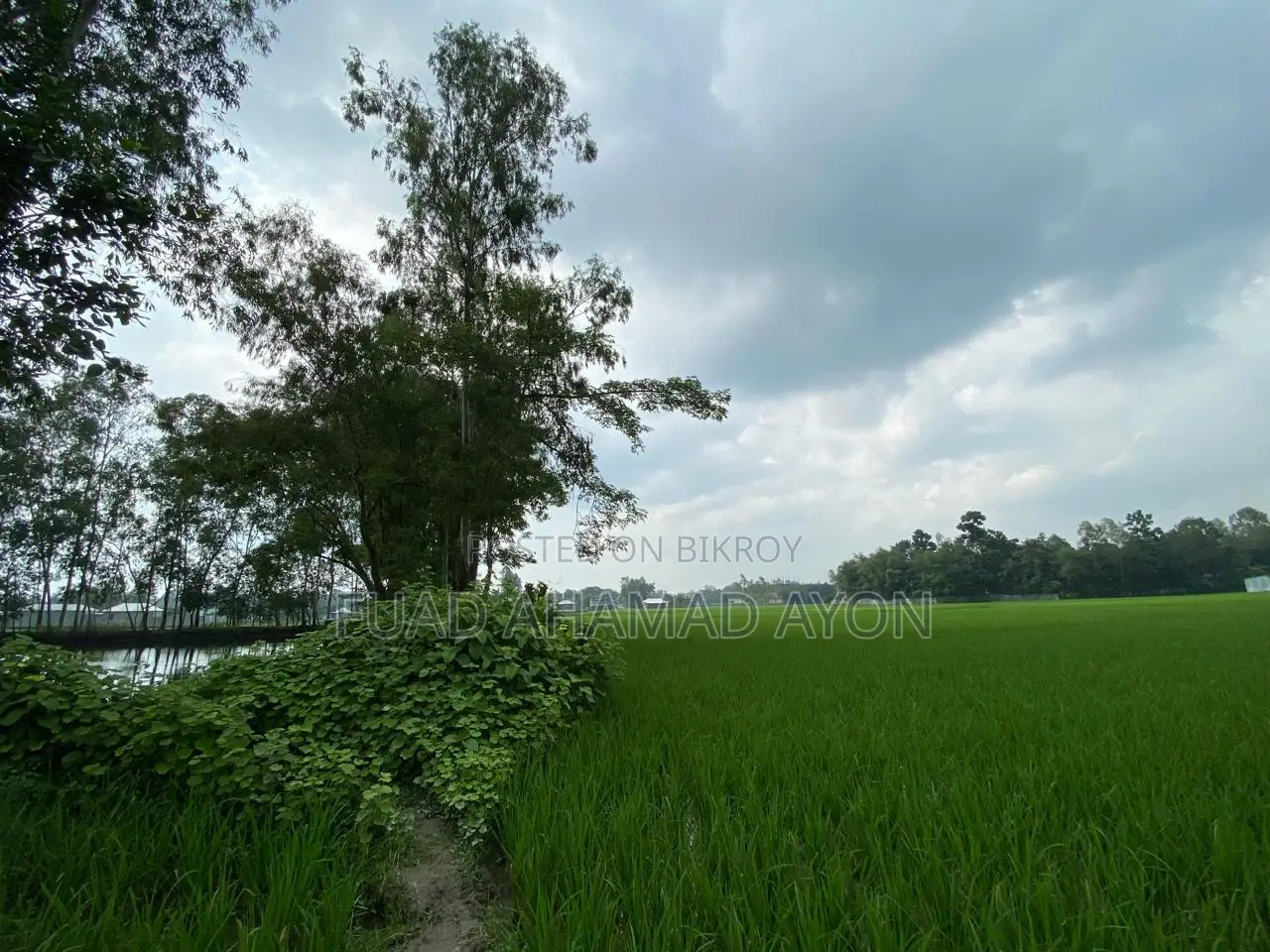সাশ্রয়ী মূল্যে রংপুরে ধাপ মৌজার জমি বিক্রয়