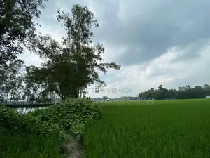 সাশ্রয়ী মূল্যে রংপুরে ধাপ মৌজার জমি বিক্রয়