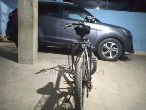 Duranta Scorpion Cycle (লাল)