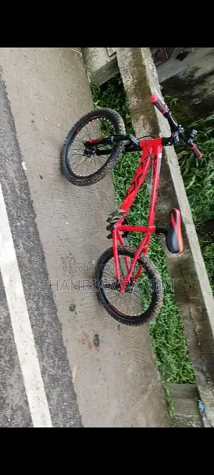 Veloce Cycle