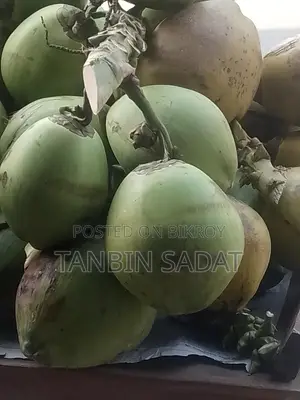 Fresh Green Coconuts Available