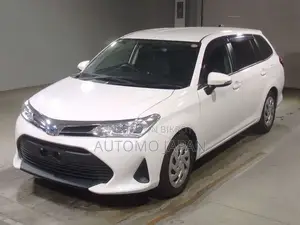 Toyota Fielder Ex 2021