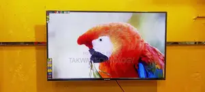 SINGER-43" Inche Android Framless Voice Control TV