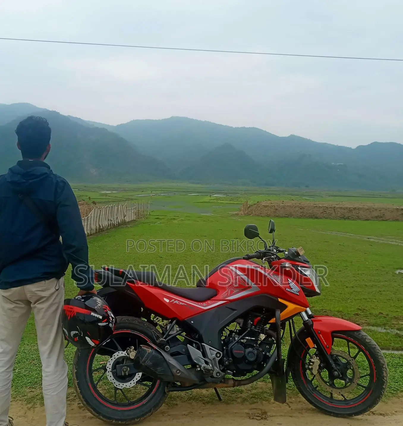 Honda Hornet . 2020