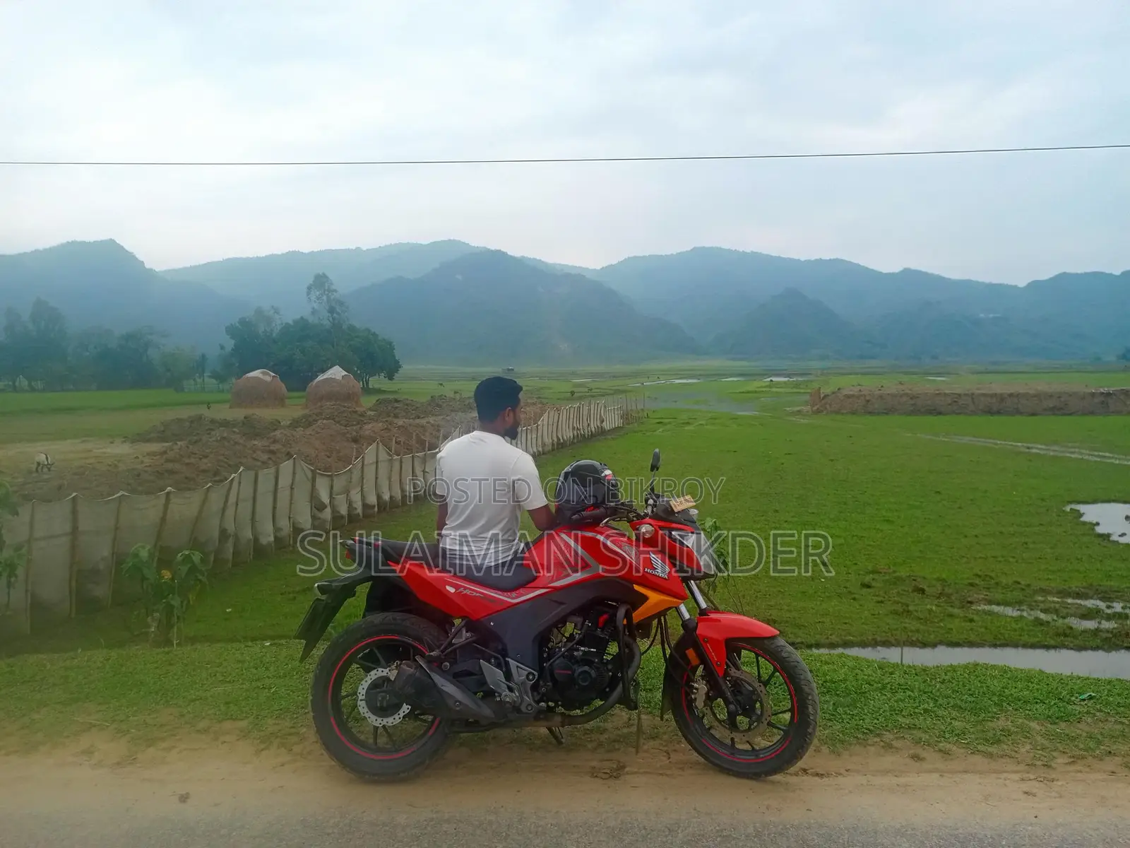 Honda Hornet . 2020