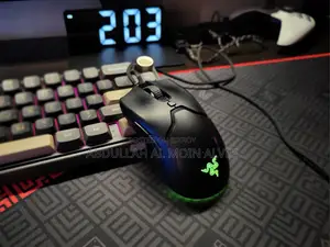 Razer Viper Mini