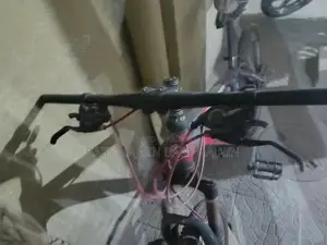 Duronto Cycle 24