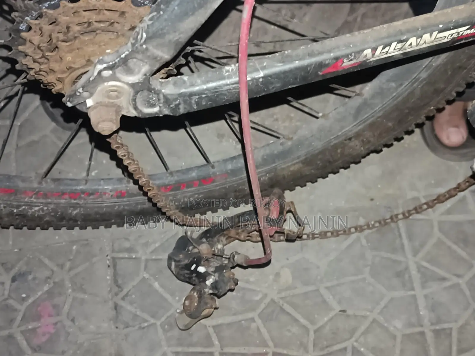 Duronto Cycle 24