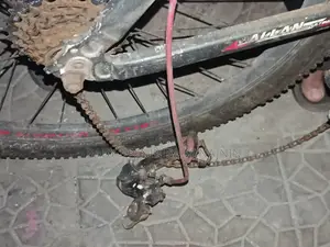 Duronto Cycle 24