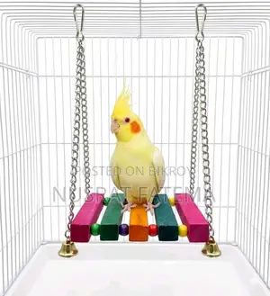 Bird Toy