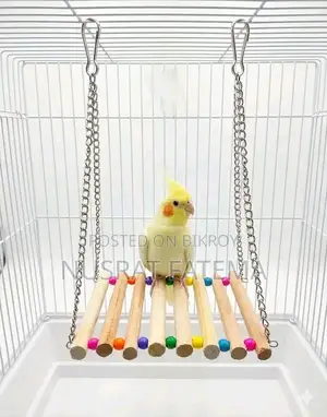 Bird Toy