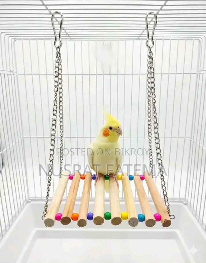 Bird Toy