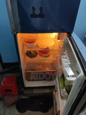 Sharp Fridge