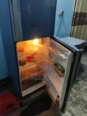 Sharp Fridge