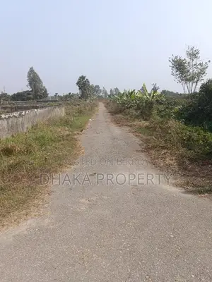 30ft Rd 3 Katha Big Lake South at Sector- 21