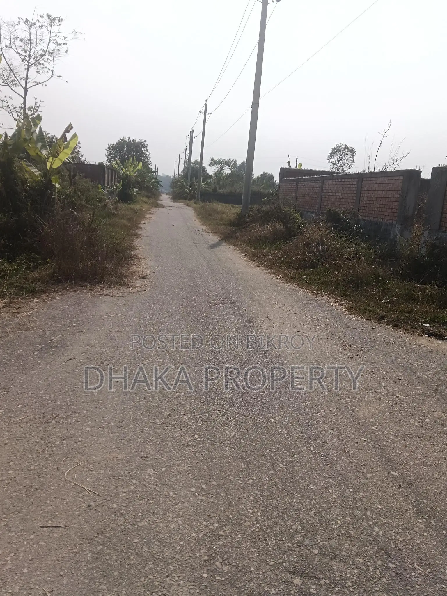 30ft Rd 3 Katha Big Lake South at Sector- 21