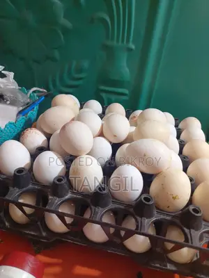 Desi Chicken Eggs