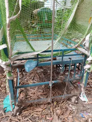 ফুটপাতে বিক্রি গাড়ী