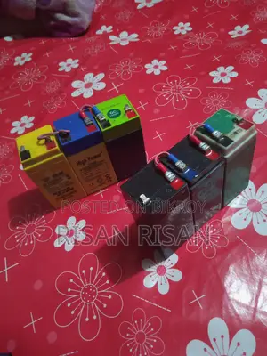 12 Volt 10 Ampere 2-Set Battery