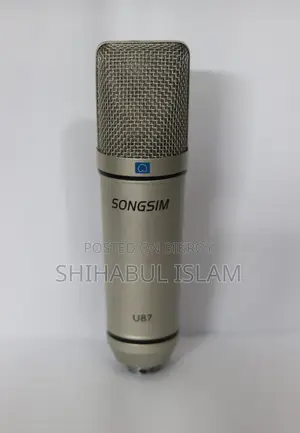Professional Mic