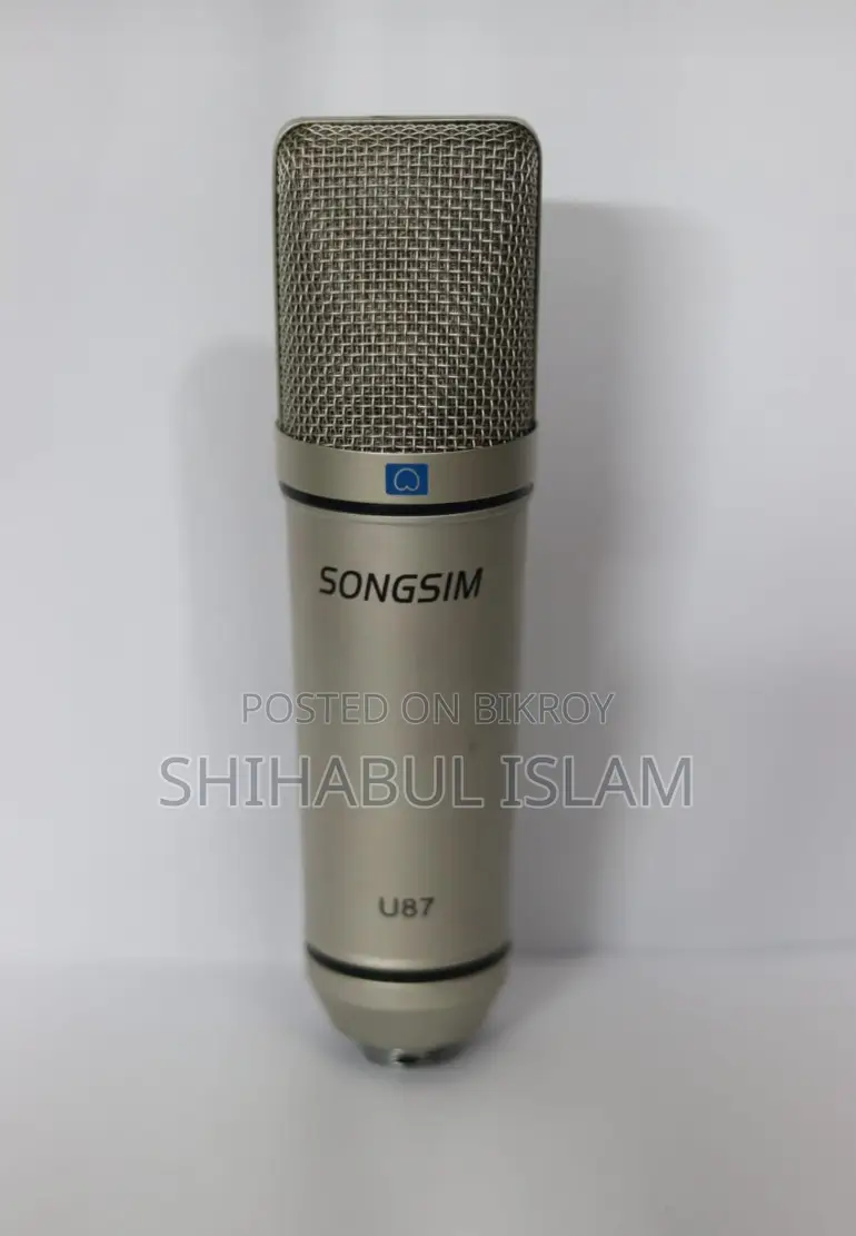 Professional Mic