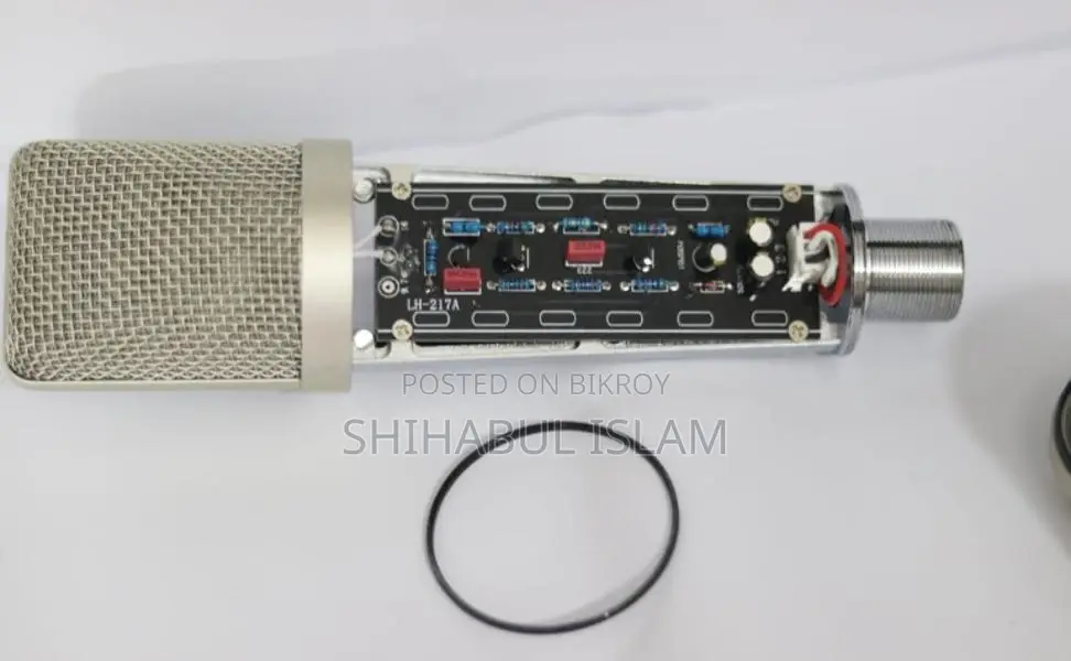 Professional Mic