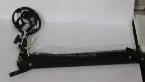 Professional Mic