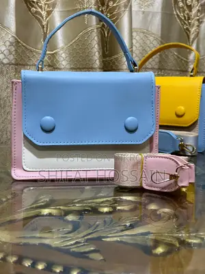 Ladies Handbag আকর্ষণীয়