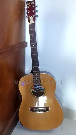 Guitar for Sale