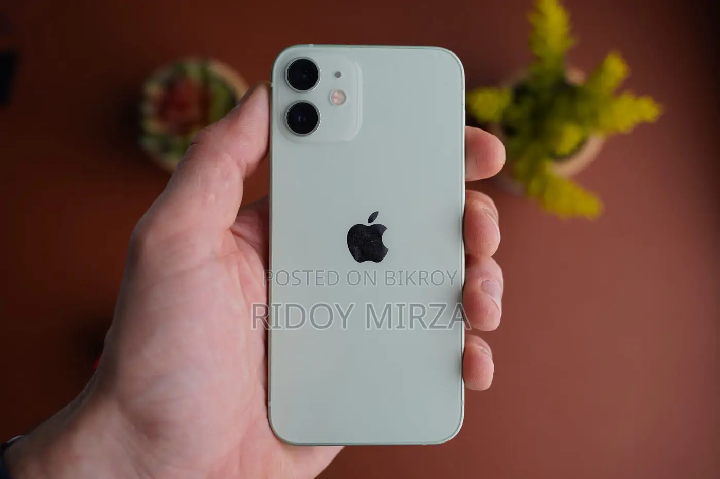 Apple iPhone 12 Mini (ব্যবহৃত)
