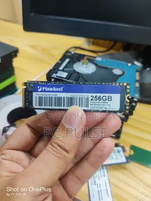 High Performance 256GB M.2 NVMe SSD (Multiple Brands Available)