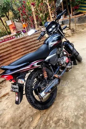 Bajaj Platina 100 - 2015