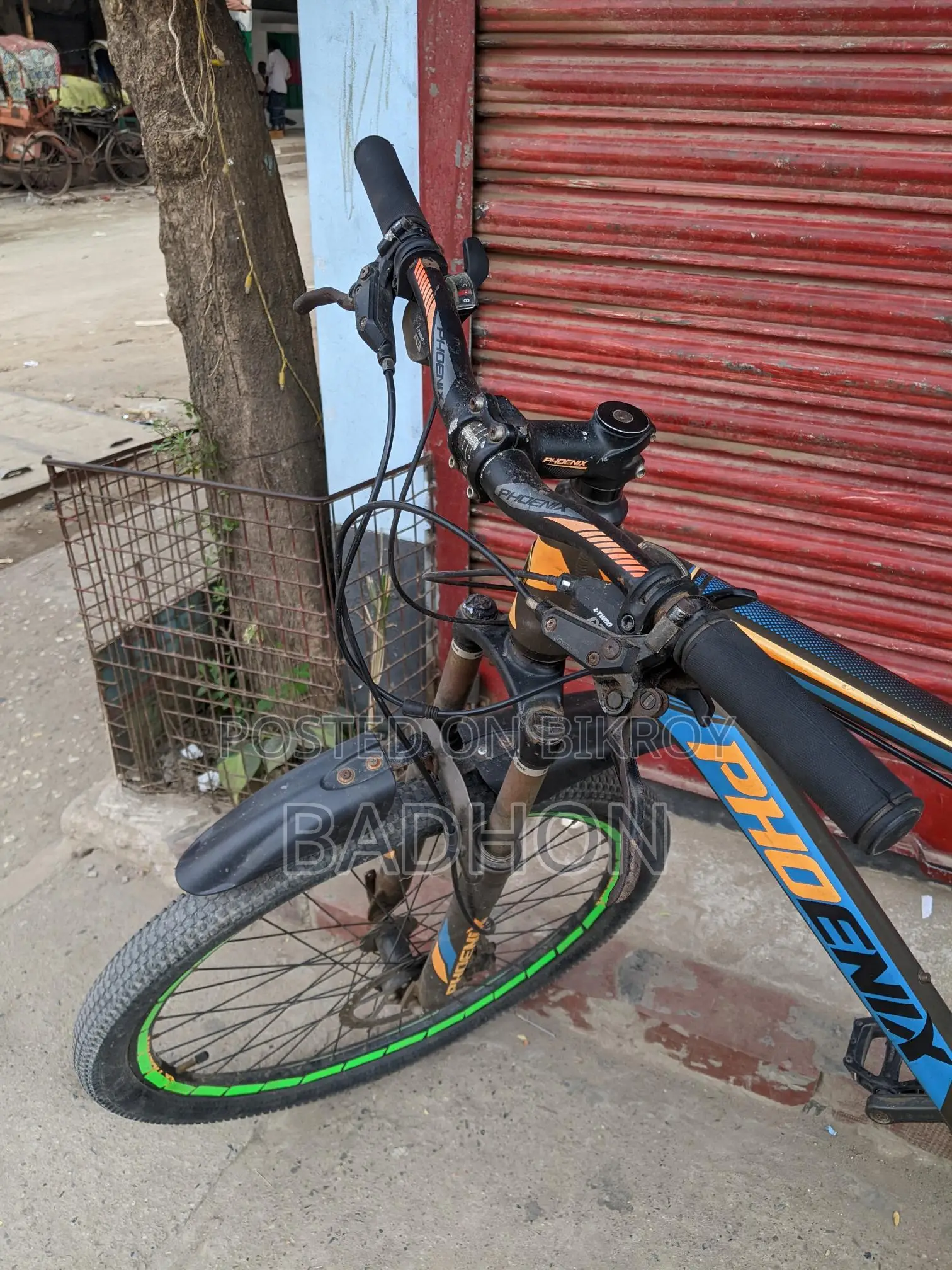 Phoenix Cycle