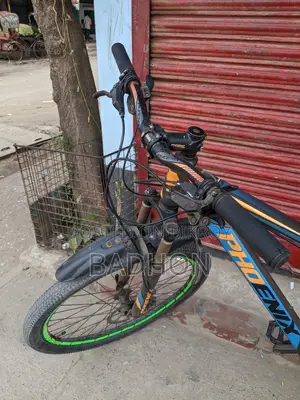 Phoenix Cycle