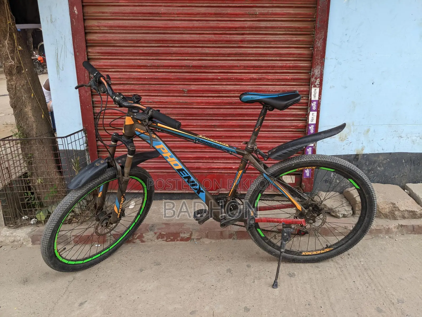 Phoenix Cycle