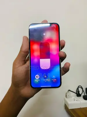 Apple iPhone 12 (Used)