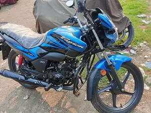 Hero Passion Pro 2026