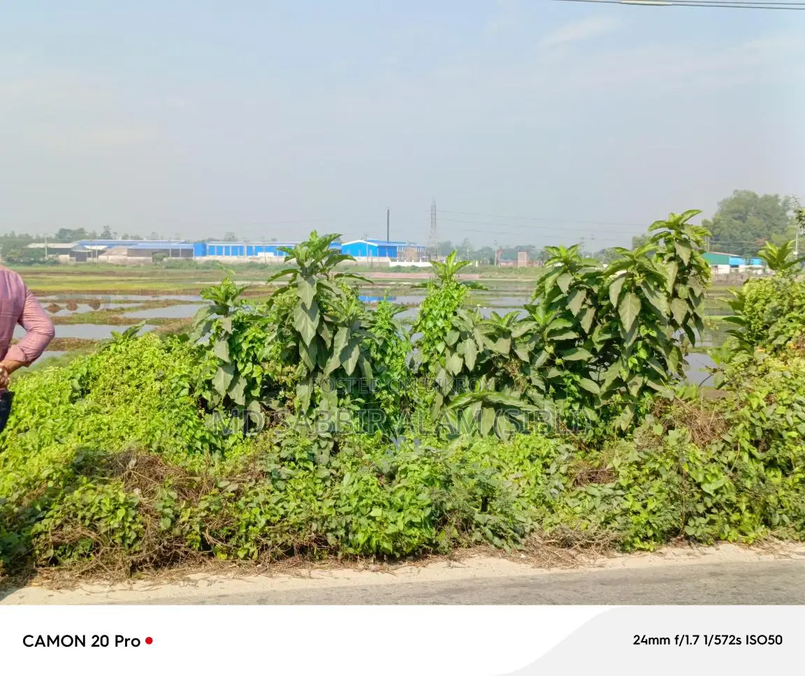 Land suitable for any type of industry for sale.