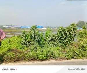 Land suitable for any type of industry for sale.