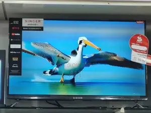 Singer tv
