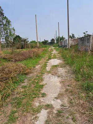 East-Facing 3 Katha Plot for Sale, Sector 22